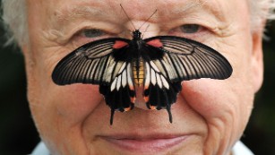 David Attenborough: 90 and &#39;still fighting the good fight&#39;