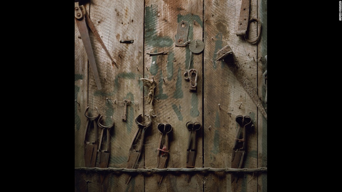 Shears and other tools stored on a wooden wall at  Brackley Farm, located in the Scottish village of Dalmally in Argyll and Bute.