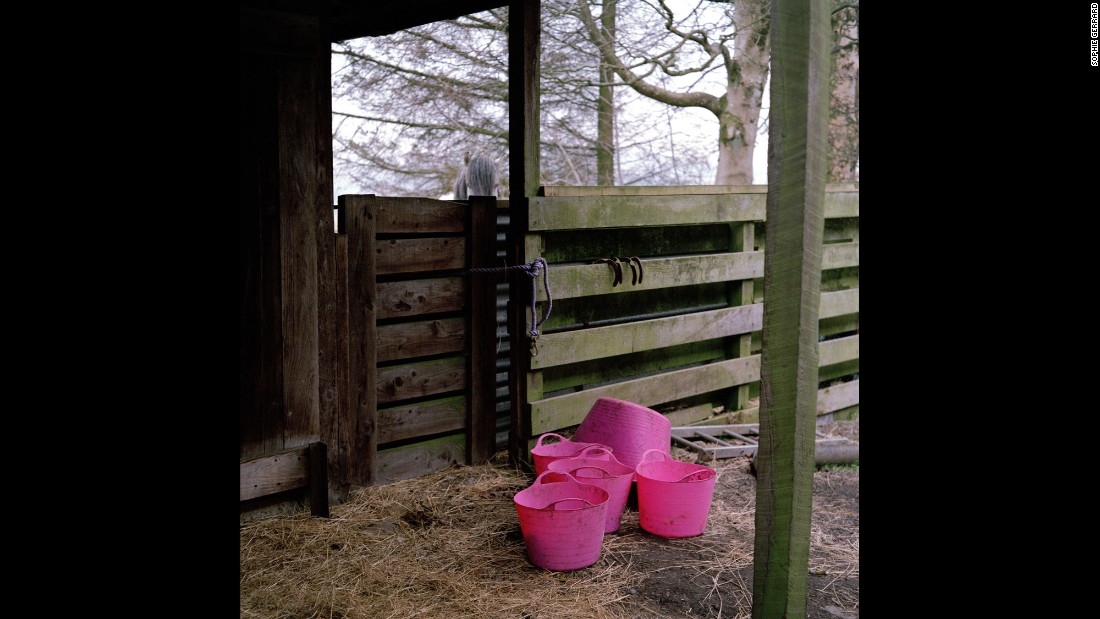 Pink buckets on Mary McCall-Smith&#39;s Connachan Farm in Crieff.