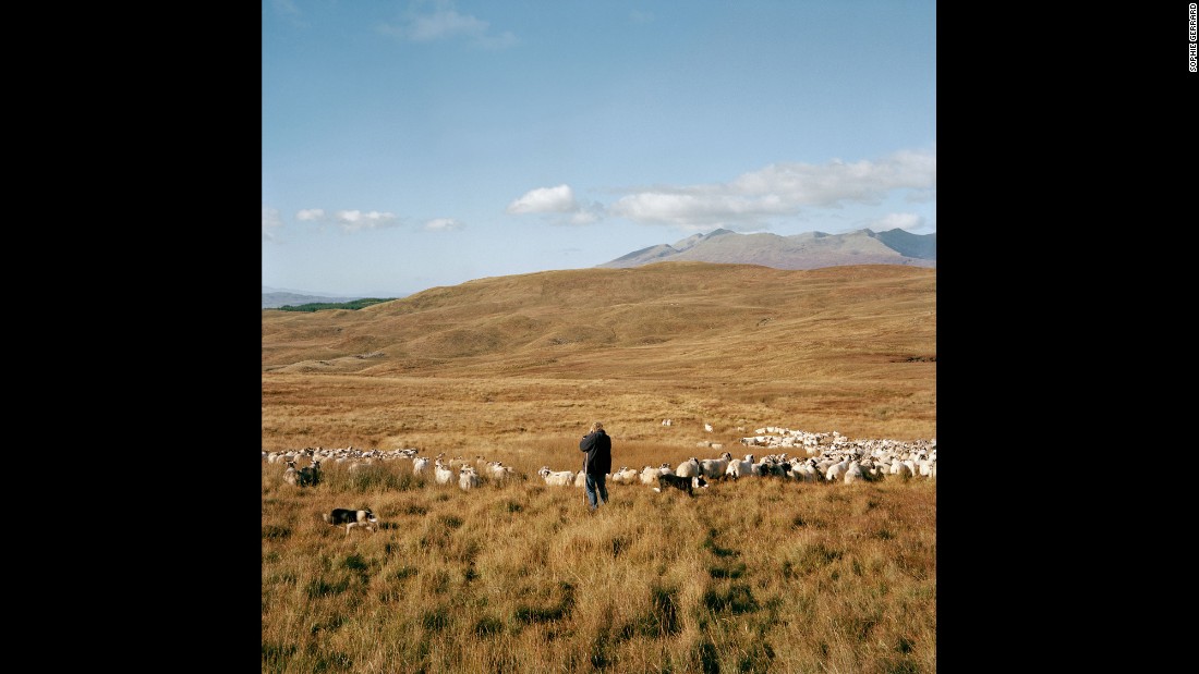 MacPherson with her animals in Dalmally. &quot;There are three mountains on this farm, and they go up over 3,000 feet,&quot; she told Gerrard. &quot;The sheep go up into those hills and we won&#39;t see them until the summer.&quot;