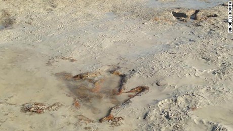 an corran beach dinosaur footprint