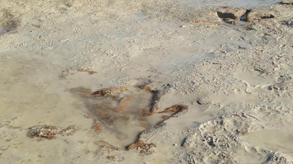 cable beach dinosaur footprints