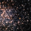 01 fossilised star cluster