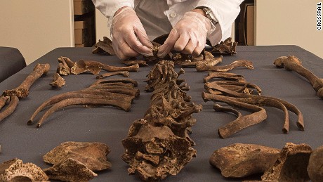 DNA from ancient skeletons reveals cause of London&#39;s Great Plague 