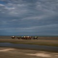 Laytown beach horse racing Ireland