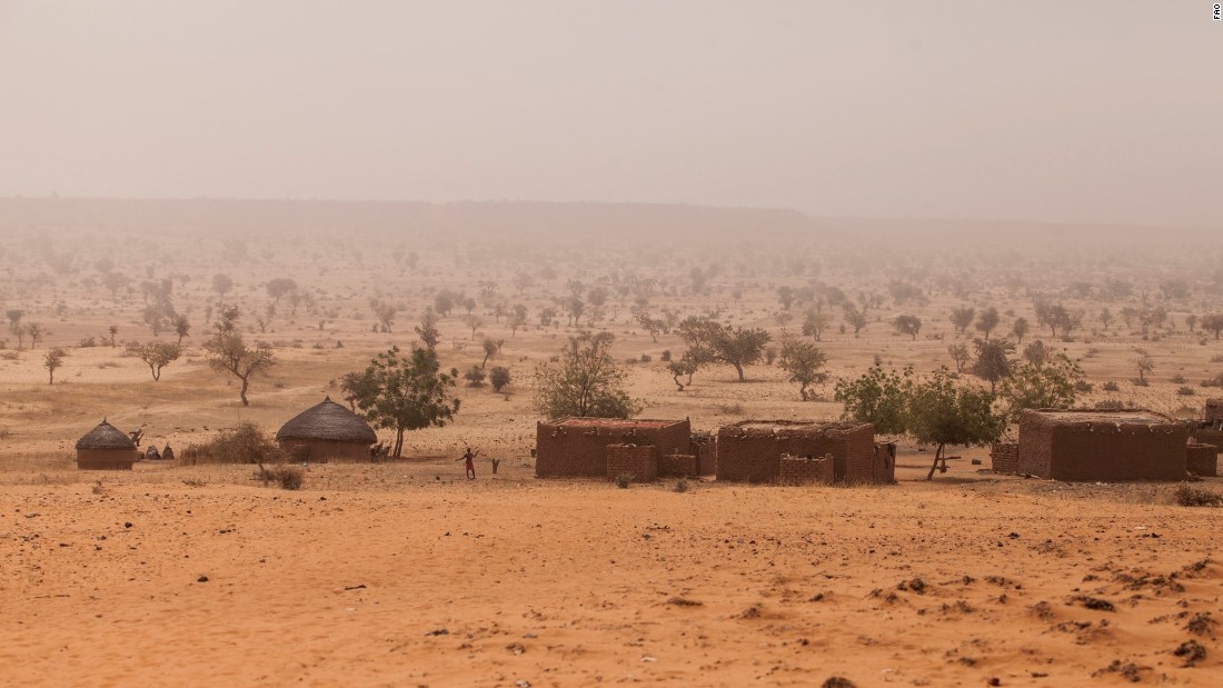 The $4 billion Great Green Wall changes course - CNN