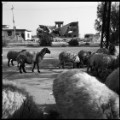 06 cnnphotos Sinjar RESTRICTED