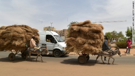 Donkeys transport straw through the district of Niamey, Niger. 