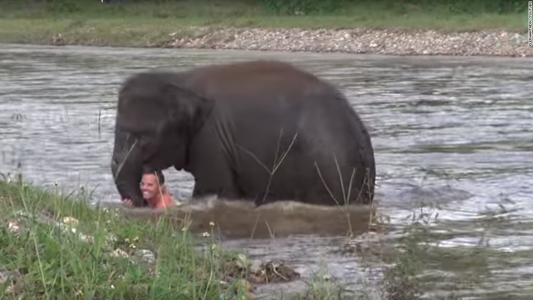 Baby Elephant Is So Concerned About Her Drowning Friend Cnn