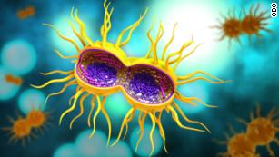 Research raises hopes for gonorrhea vaccine