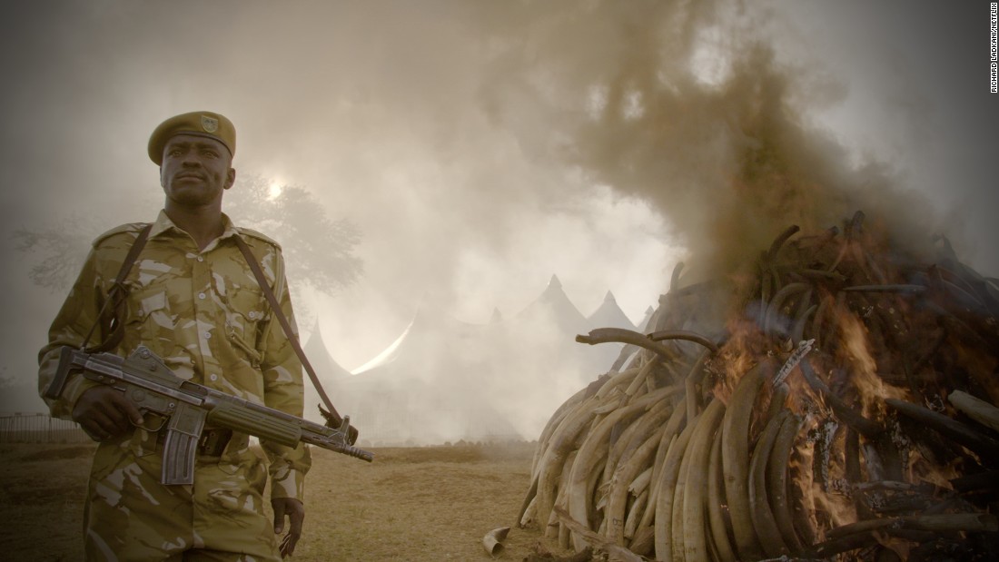 Original Netflix documentary &quot;The Ivory Game&quot; goes inside the illegal ivory trade to put Africa&#39;s elephant poaching crisis back on the agenda. 