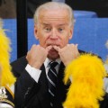 07 Joe Biden Vice President RESTRICTED