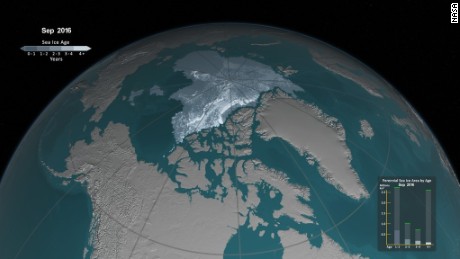 Watch as old sea ice vanishes