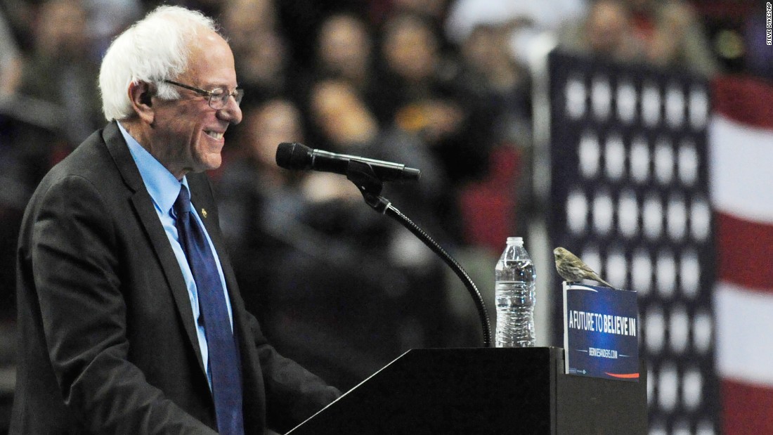 Sanders smiles at a bird after &lt;a href=&quot;http://www.cnn.com/2016/03/26/politics/bernie-sanders-bird-drawing-together/&quot; target=&quot;_blank&quot;&gt;it landed on his podium&lt;/a&gt; in Portland, Oregon, on March 25, 2016.