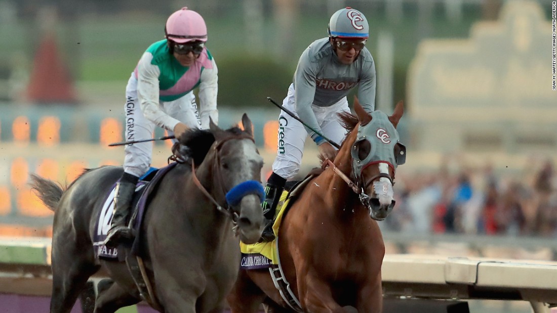 Arrogate (left) capped a triumphant debut season by winning the 2016 Breeders&#39; Cup Classic in a dramatic finish.