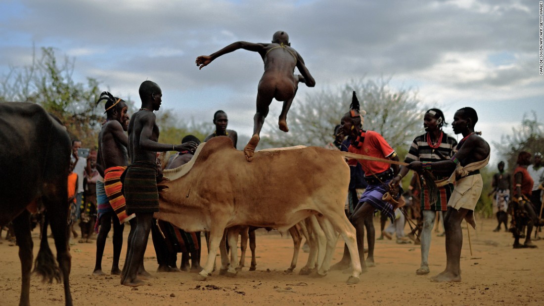 Herdsmen become hurdlers in the Omo Valley, Ethiopia. Young men of the Hamar tribe, one of many in the valley, prove their manhood by jumping on prize bulls and then running across their backs -- all while naked. The purpose? It&#39;s a coming of age ceremony, and only when the participant has traversed the bull run four times will he be allowed to marry. Slip and you risk a hard fall: &quot;Because it&#39;s a manhood initiation ritual, [failure] is likely to affect the perception of someone&#39;s manhood and that of course can have all sorts of dire consequence,&quot; adds Dr Lewis.