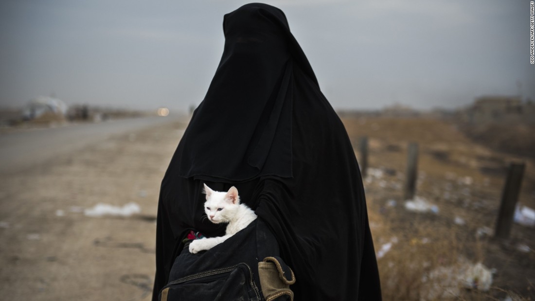 An Iraqi woman displaced by war holds her cat near a checkpoint in the Iraqi village of Shaqouli, east of Mosul, on November 10.