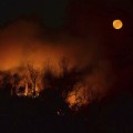 09 Southern Wildfires 1115