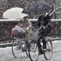 Tokyow wakes up to first November snow in over 50 years - CNN