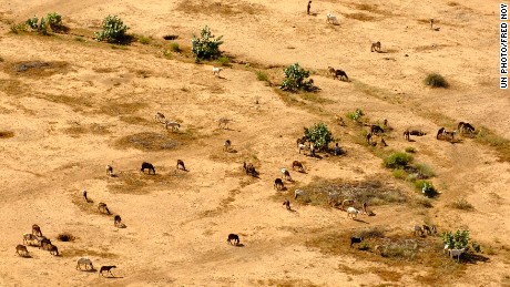 Climate change could render Sudan 'uninhabitable' - CNN