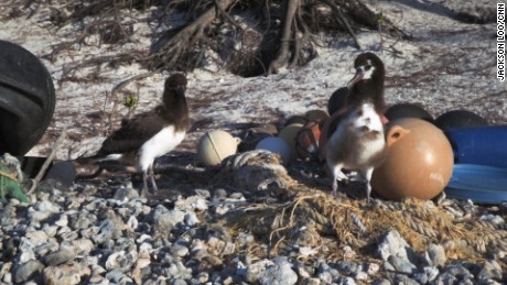 Plastic from around the world washes up on Midway Atoll in the remote Pacific Ocean.