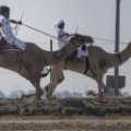 fazza championships camel races 6