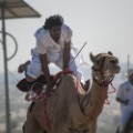 fazza championships camel races 7