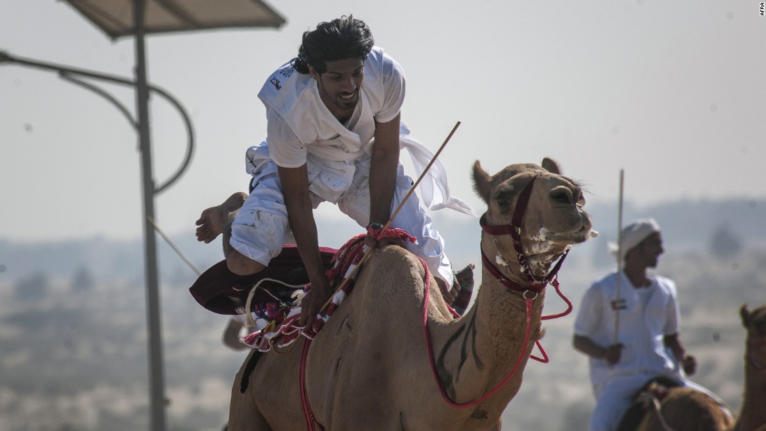 Every competitor has their own style of racing, such as sitting, standing or squatting on the camel.