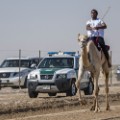 fazza championships camel races 10