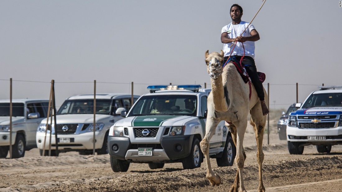 Winner Al Hammadi, who has been riding since age 8, says his connection with his camel is the key to his success.