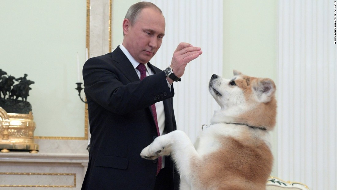 Putin's large dog Yume barks at Japanese journalists | CNN