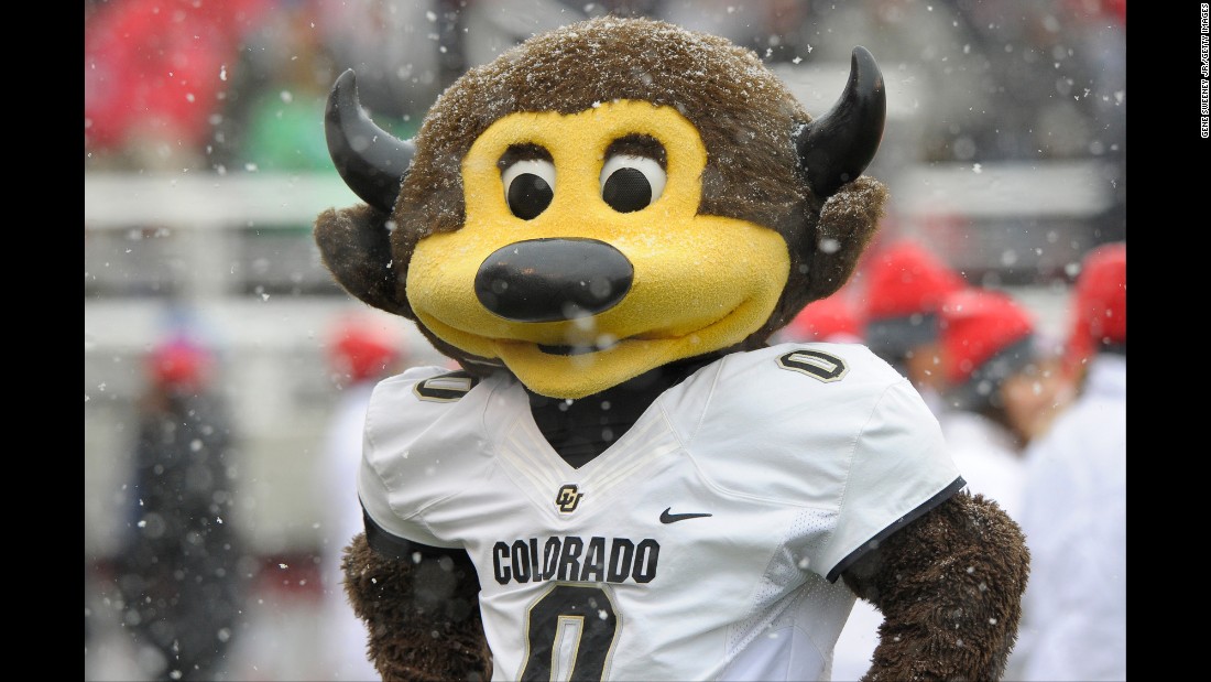 Chip braves the elements to cheer on his team from the sidelines.