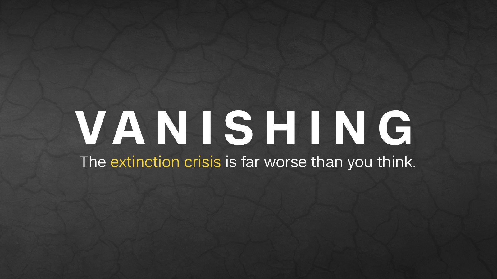 Vanishing: The extinction crisis is worse than you think - CNN Video