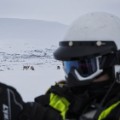 10 cnnphotos Reindeer Police RESTRICTED