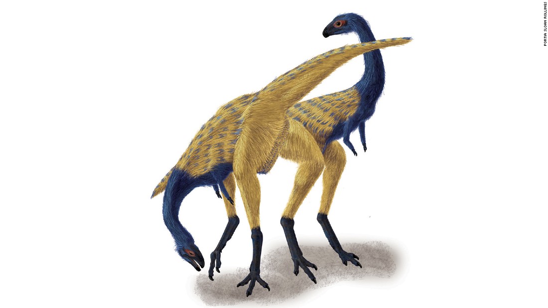 An artist impression of the Limusaurus. The Ostrich-sized dinosaur was found in Xinjiang in China&#39;s far west. Researchers say it lost its teeth as it matured.