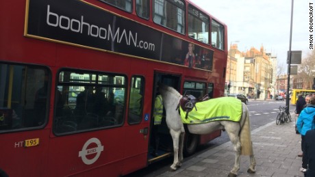 Horsing around in London: This image has been widely shared since it was posted Tuesday.