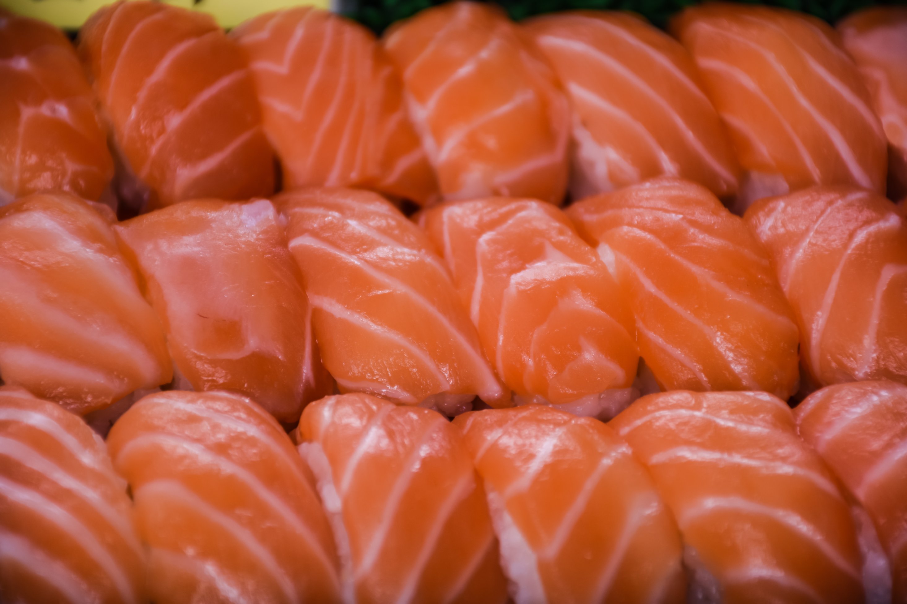 Us Salmon May Carry Japanese Tapeworm Scientists Say Cnn