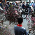 LNY Hanoi flower market