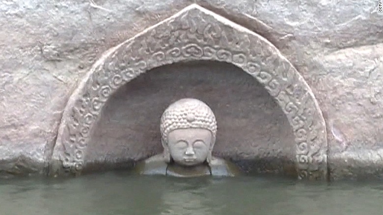 Chinese Feigenbaum 6-7 years with Buddha Fountain 