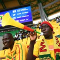 mali fans vuvuzela afcon