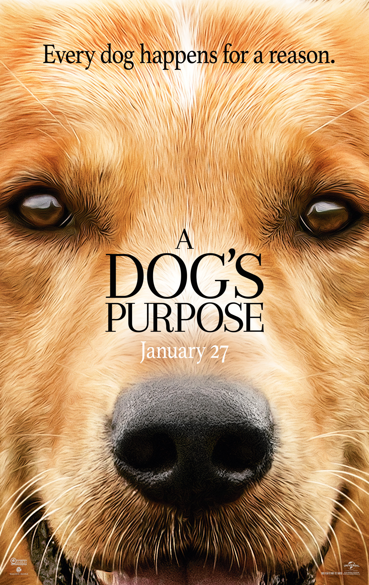 a dogs purpose viral video