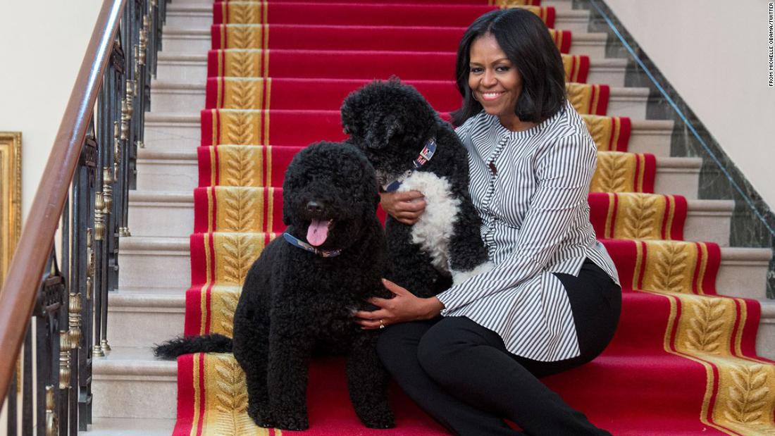 Obama poses with dogs Bo and Sunny as the family prepares to depart the White House in January 2017. In an accompanying tweet, she writes: &quot;Thank you for the birthday wishes and for the greatest gift of all: the opportunity to serve as your First Lady.&quot;