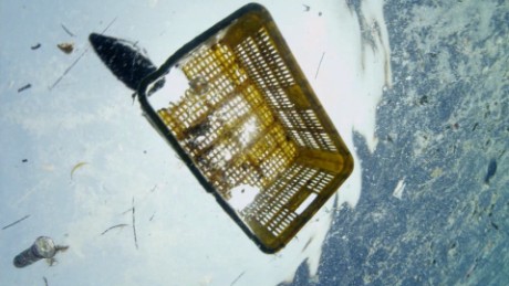 Ocean plastic predicted to triple within a decade