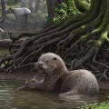 01 ancient otter 