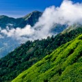 Beautiful India Nilgiri Hills