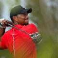 tiger woods gallery