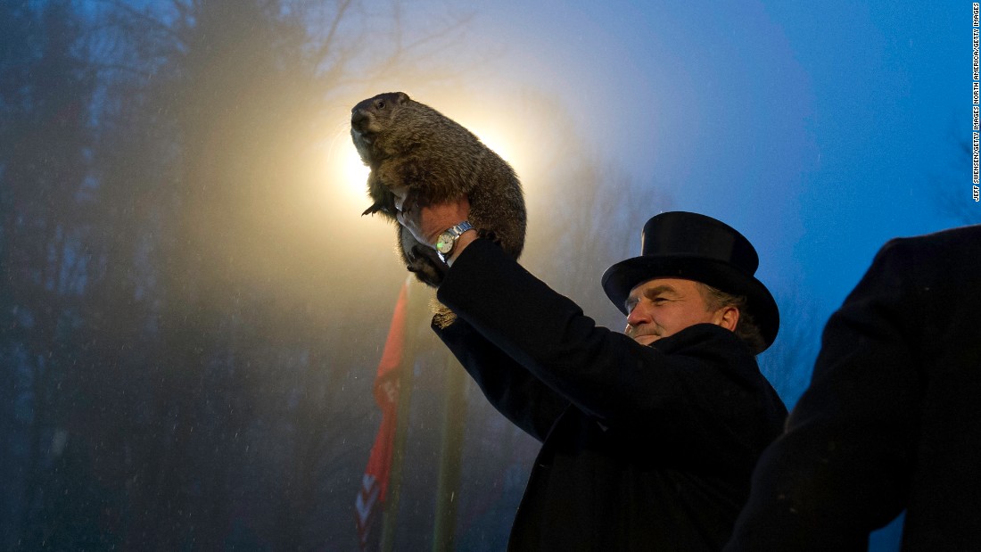 The groundhog hath spoken! Welcome to six more weeks of winter