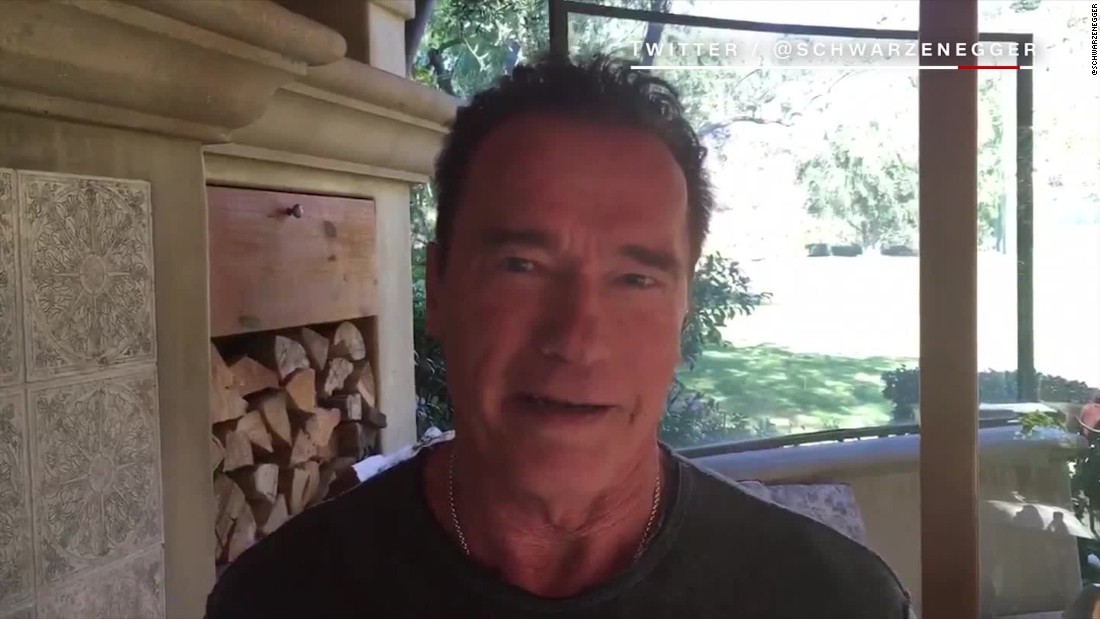 Schwarzenegger Responds To Trump Cnn Video 8667