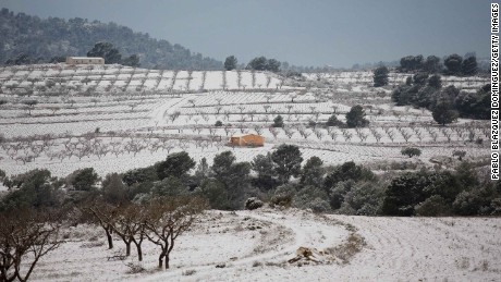 Spain&#39;s Murcia province has seen heavy snowfall for the first time in decades. Many crops have been ruined.