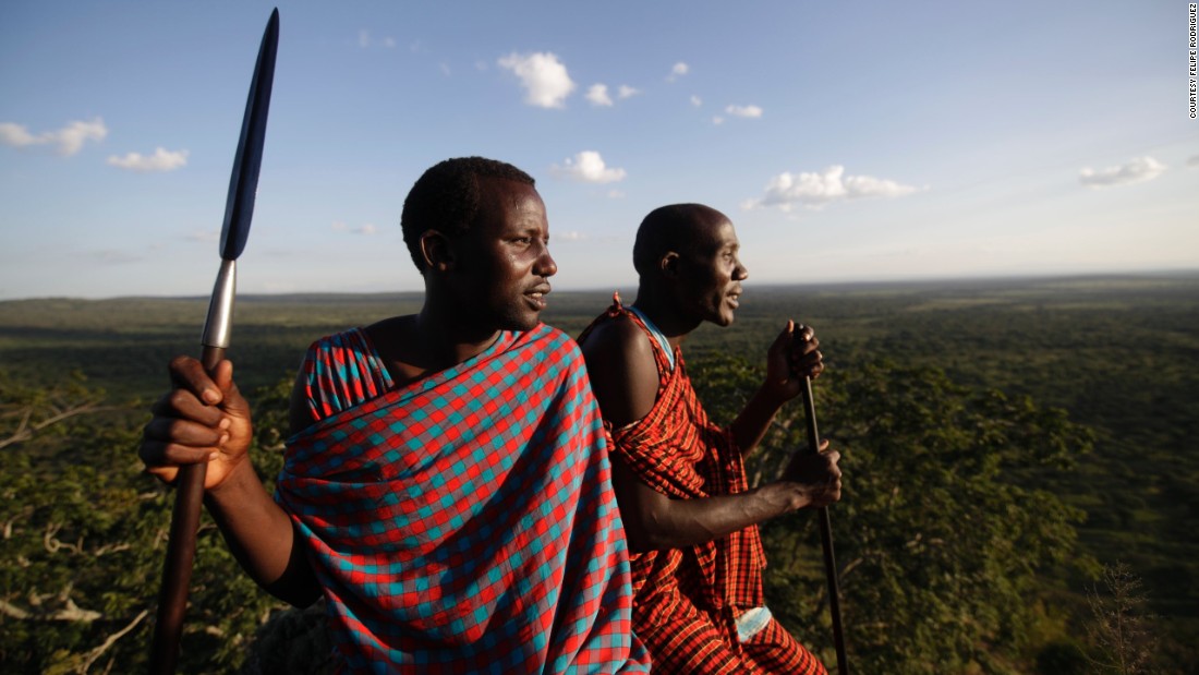 Maasai turn wildlife warriors to save lions in Tanzania.